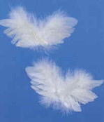 天使の羽根　小　ホワイト　フェザー